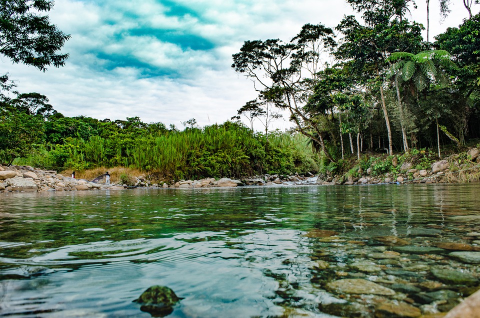 Amazon rainforest-Amazon river/Pixabay
