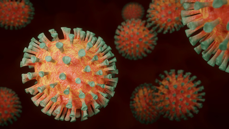 Coronavirus/Pixabay