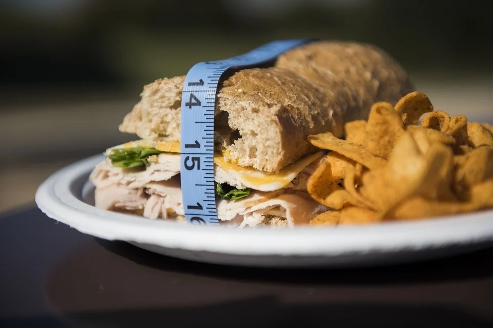 Obesity-Sandwich/Pixabay