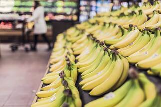 False banana could be Ethiopia's lifesaver amid climate change