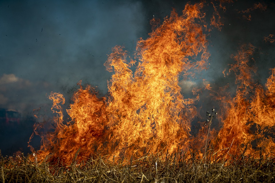 Field burning/Pixabay