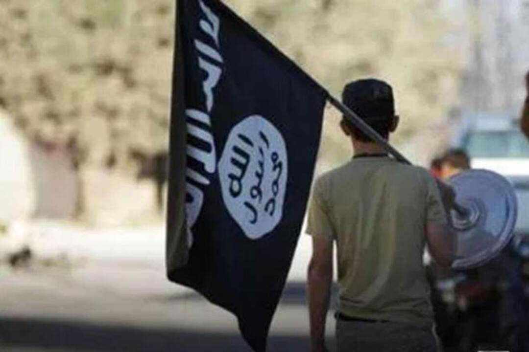 At least 87 foreign militants from various terrorist groups operating in Syria have left the Idlib countryside in northwestern Syria to Ukraine (Representational pic. Indian)