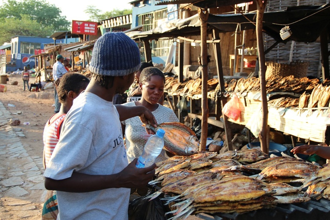 Local fish market in luangwa, Zambia (File photo: Pixabay)