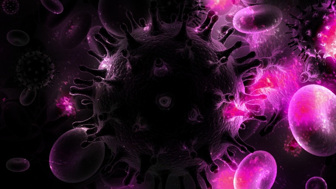 HIV virus (File photo: Pixabay)