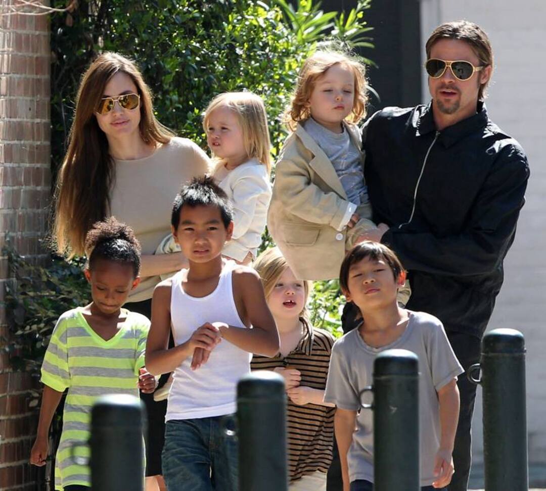 Brad Pitt sues Angelina Jolie over sale of winery stake
