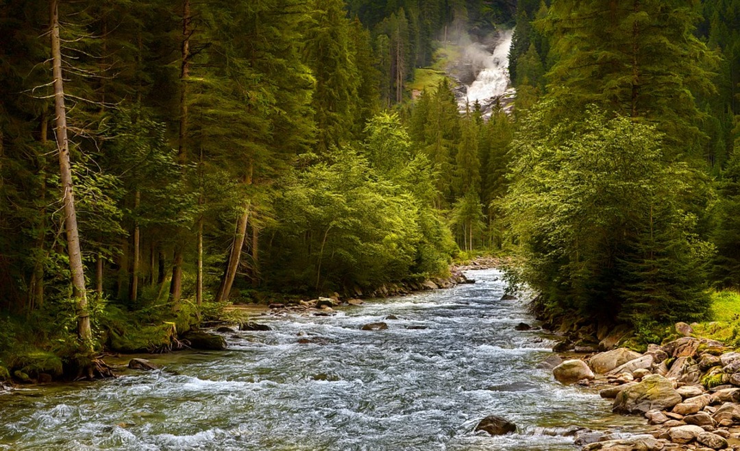 Landscape in Austria-Alpine trees (File photo: Pixabay)