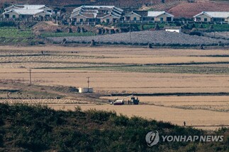 الحدود بين كوريا الشمالية و الجنوبية. مزارعون شماليون يحصدون الأرو. © يونهاب
