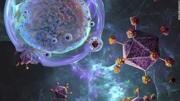 دراسة: الخلايا التائية المعدلة يمكن أن تكون علاجاً واعداً للسرطان