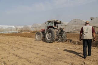 أتمت المنظمة مشروع زراعة ألف دونم في قطاع غزة
