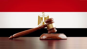 وزير العدل المصري: فصل كل 