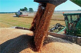 الطرق البديلة عن موانئ لن تغطي 20% من صادرات الحبوب الأوكرانية