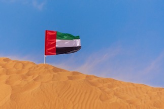UAE intercepts ballistic missile launched by Houthi militia