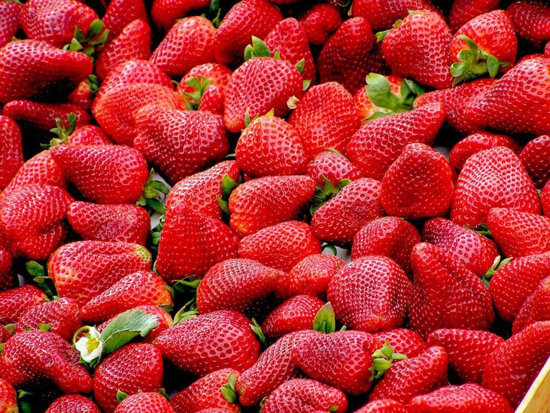 FDA links hepatitis A outbreak in US and Canada to strawberries