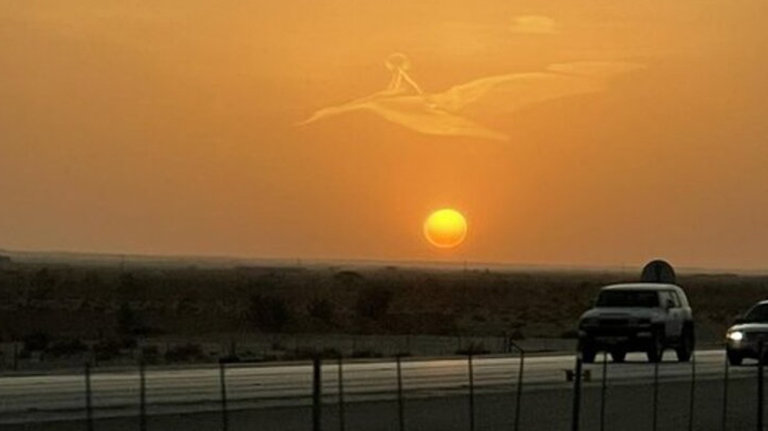 طير في سماء الرياض يحمل طفلاً بين جناحيه