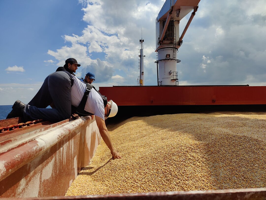 شحنة الحبوب الأوكرانية.. رفضها المشتري اللبناني وبطريقها إلى مصر
