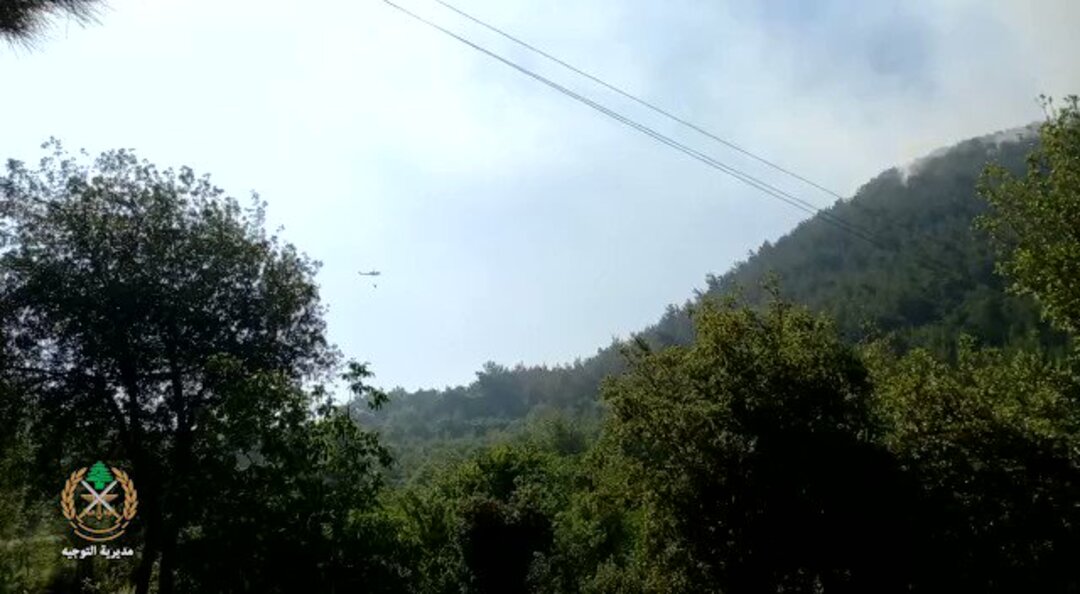 لبنان.. حريق كبير يندلع في الغابات والجيش يتدخل