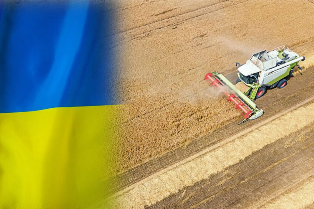 تقرير أمريكي: استمرار هبوط صادرات الحبوب من أوكرانيا