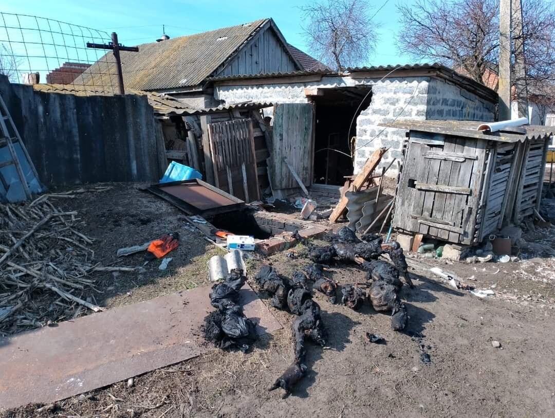 Several incinerated bodies of civilians, including that of one child, were found in the cellar of a house in Husarovka village (Kharkiv Oblasr) after it was liberated from Russian occupation. The Russians did this deliberately, as no houses burned (File photo: Euromaidan via Sergei Loiko)