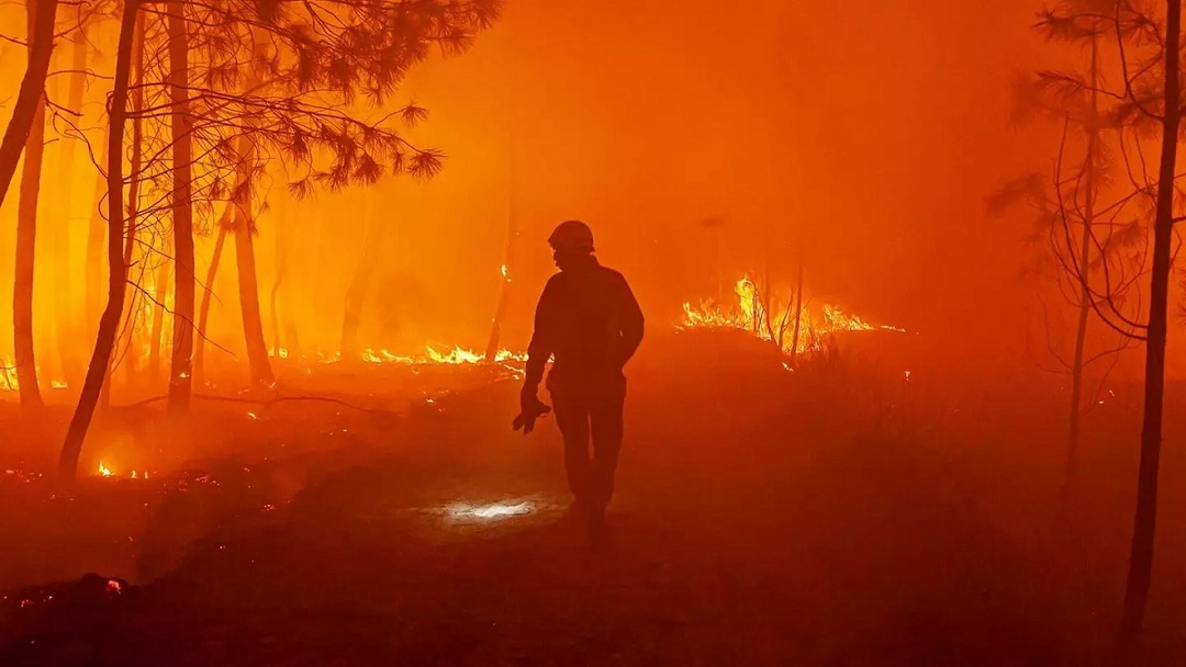 فرنسا تكافح حرائق الغابات بينما تكتسح موجة الحر أوروبا