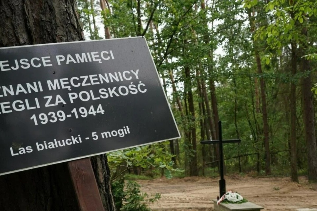 اكتشاف بقايا ثمانية آلاف أعدمهم الجيش النازي في بولندا