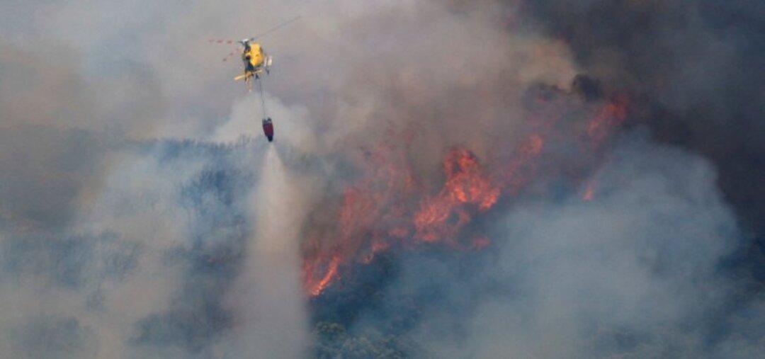Over 4,000 hectares of land destroyed in wildfires in northwestern Spain