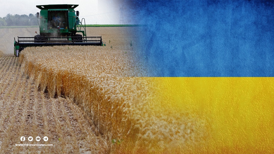 صادرات الحبوب الأوكرانية تتقلص 43.2%.. على أساس سنوي