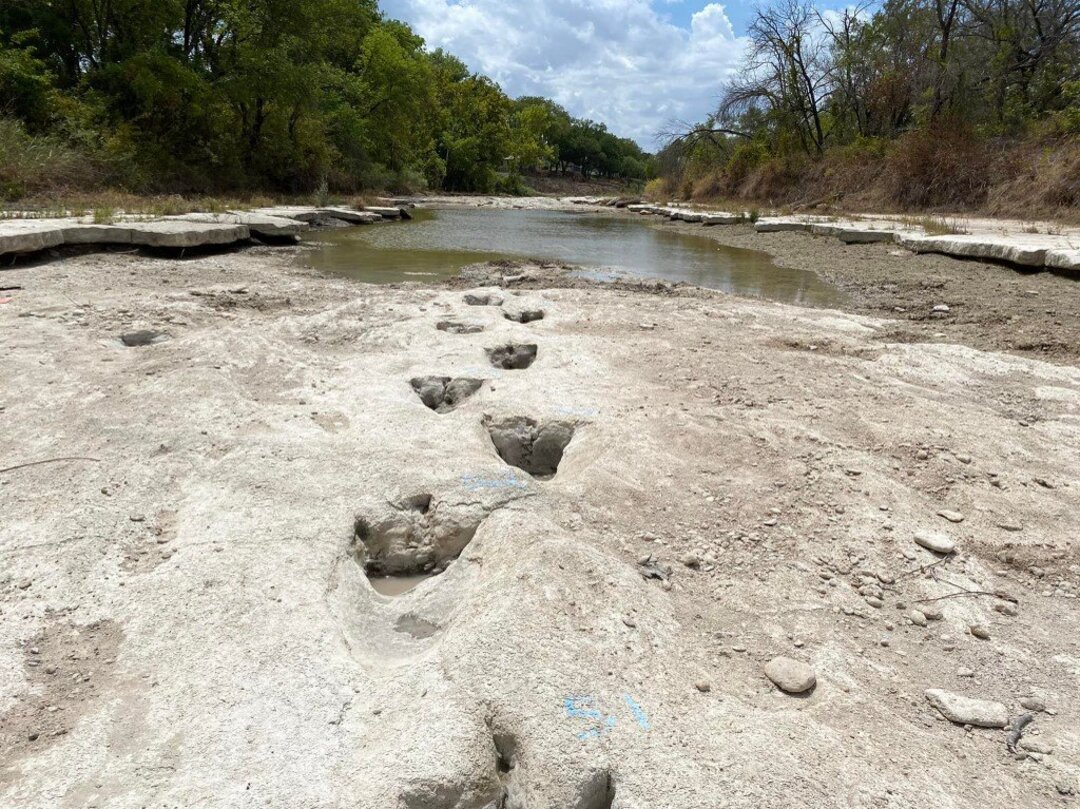 Dinosaur tracks revealed after Texas drought dries up river