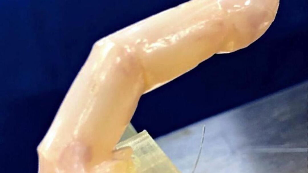 Japanese scientists develop robot finger with ‘human skin’