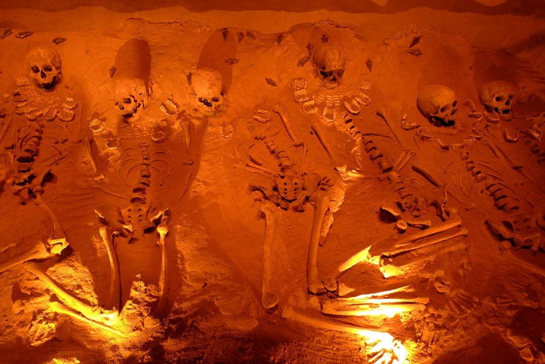 1.4M-year-old bones excavated in northern Spain could rewrite human prehistory