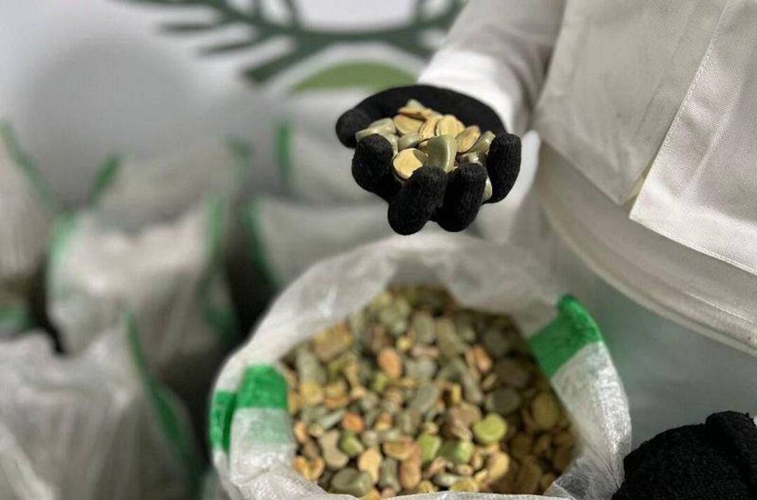 Saudi authorities thwart plot to smuggle Captagon hidden in fava beans