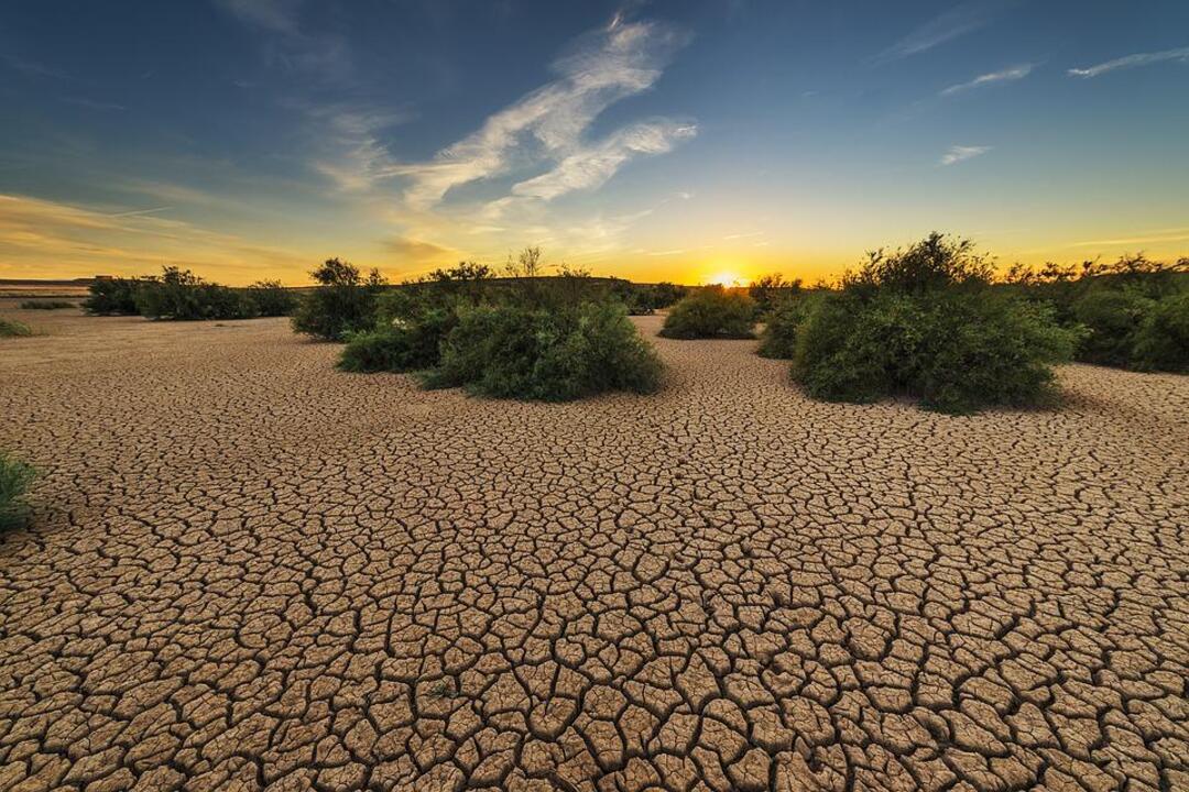Droughts may affect more than 75% of world’s population by 2050