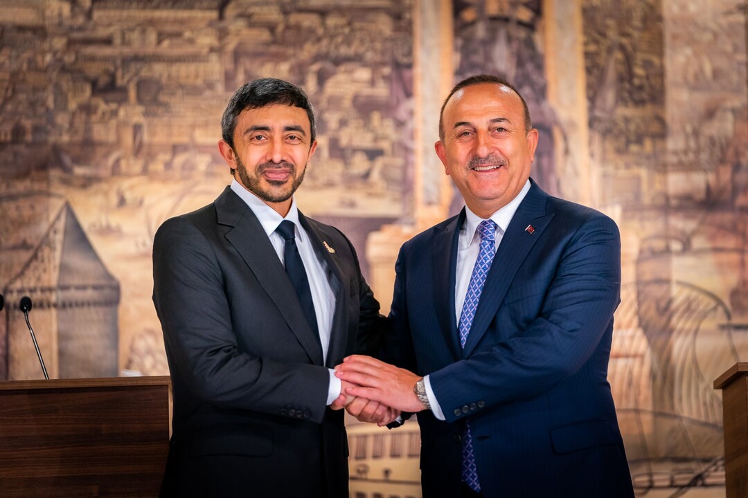 وزير الخارجية الإماراتي يلتقي نظيره التركي في إسطنبول