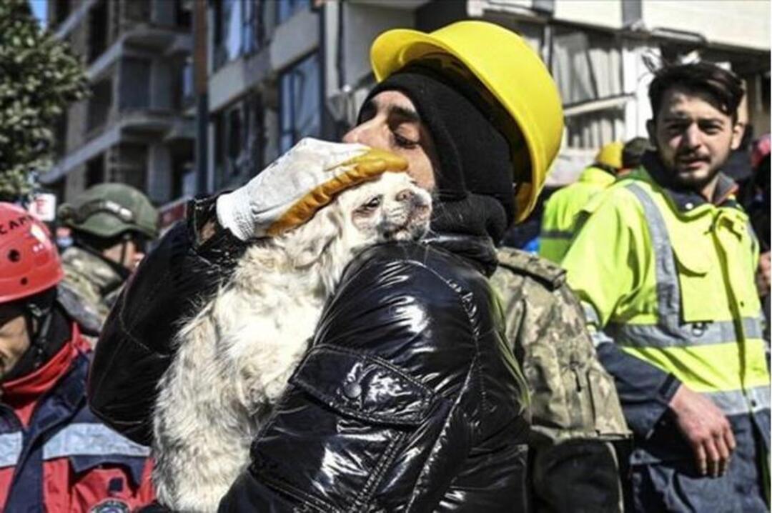 كلبة تنقذ صاحبتها بعدما أرشدت عمال الإنقاذ لمكانها تحت الأنقاض في تركيا