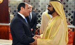 Egypt’s Sisi receives UAE Vice President