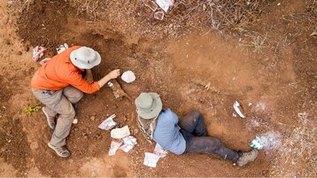 علماء يكتشفون بقايا أقدم ديناصور في أفريقيا