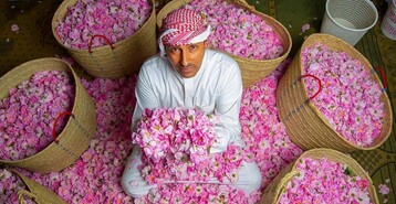 وسط الورد الطائفي.. سعوديون يقضون أجواء رمضان بالهواء الطلق