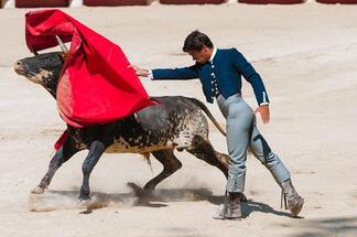 French MP moves to ban bullfighting, though it's still popular in the country
