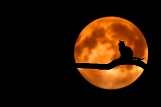 On October 9, the sky will be illuminated by the Hunter's Moon