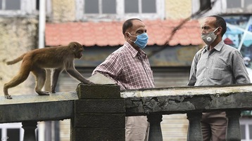 بريطانيا.. رصد أول إصابة بفيروس مصدره القرود