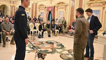 Ukraine's mine sniffing dog Patron awarded medal by President Zelensky