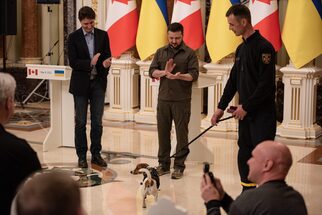 زيلينسكي يُكرّم فريق إزالة ألغام مع نجمه الكلب باترون