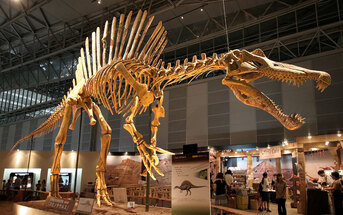 مستكشف بريطاني يصطاد أكبر ديناصور في أوروبا
