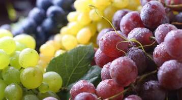 دراسة: العنب قد يقلل من فرص الإصابة بالخرف