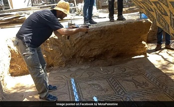Palestinian farmer unearths rare Byzantine-era mosaic in Gaza