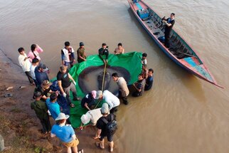 Cambodia: Mekong villagers land heaviest ever freshwater fish