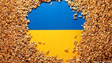 ثلاث دول أوروبية تفرض حظرًا على الحبوب الأوكرانية