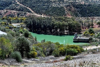 شحّ المياه في تونس يهدد بموسوم إنتاج حبوب 