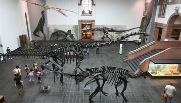 حريق في متحف الديناصورات الأكبر في ألمانيا
