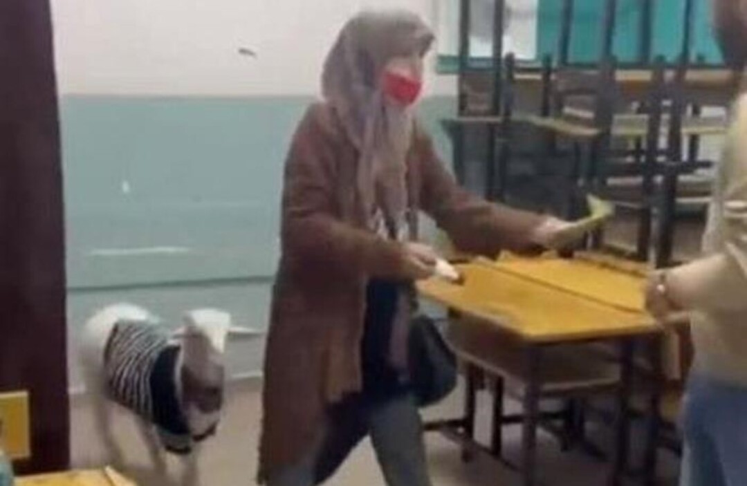 خروف يرافق سيدة تركية خلال الإدلاء بصوتها (فيديو)
