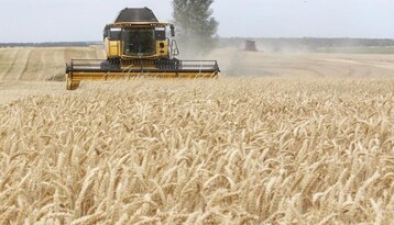 بروكسل تنوي تمديد القيود على استيراد الحبوب الأوكرانية